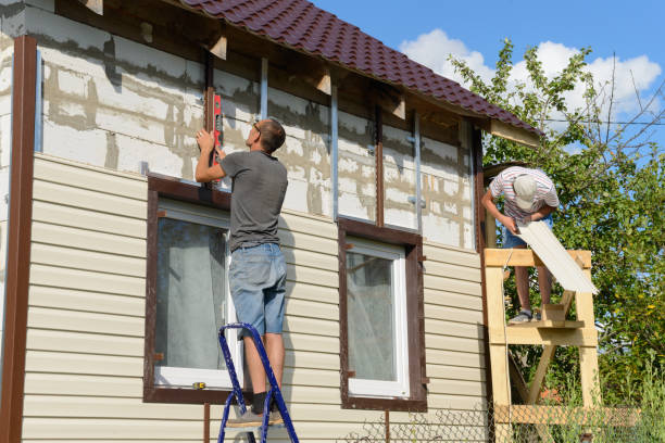 Affordable Siding Repair and Maintenance Services in Ceres, CA